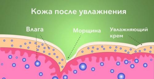 Как правильно выбрать увлажняющий крем для лица. Как правильно выбрать увлажняющий крем