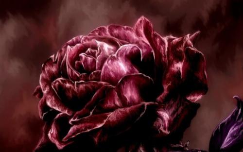 Бордовый цвет в психологии. Психология восприятия цвета 02