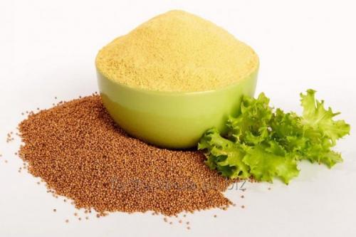 Маска для жирных волос с горчицей. Спасение для жирных волос: горчичная маска