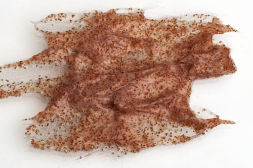 Скраб для кожи головы капус. 06