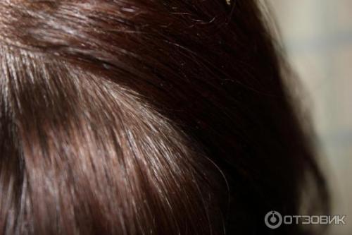 Краска для воло.  Отзыв: Крем-краска для волос Kapous Professiona. 1 - Цвет Шоколад 06 Краска для воло.  Отзыв: Крем-краска для волос Kapous Professiona. 1 - Цвет Шоколад 06