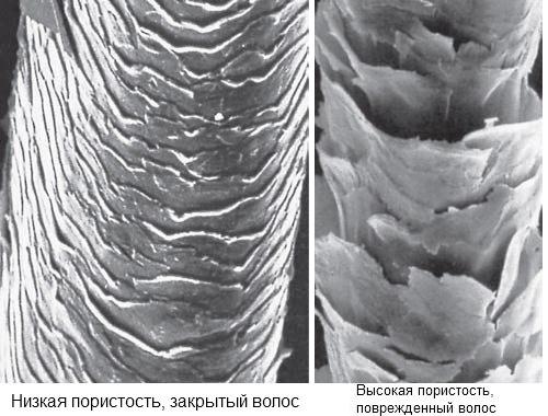 Пористые волосы, что делать и как ухаживать. Ухаживающие средства 03