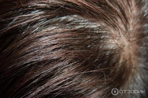 Краска для воло.  Отзыв: Крем-краска для волос Kapous Professiona. 1 - Цвет Шоколад 05 Краска для воло.  Отзыв: Крем-краска для волос Kapous Professiona. 1 - Цвет Шоколад 05