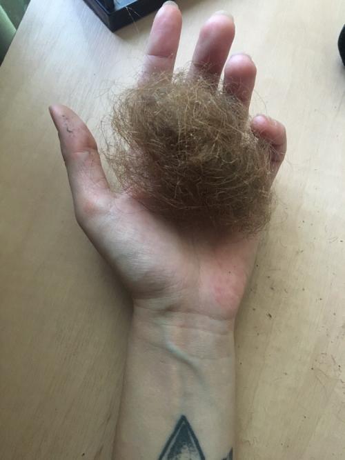 Опасные дреды. Мифы о дредах: правда или ложь?