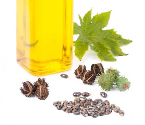 Касторовое масло для ног. Касторовое масло – применение в домашней медицине 01 Касторовое масло для ног. Касторовое масло – применение в домашней медицине 01