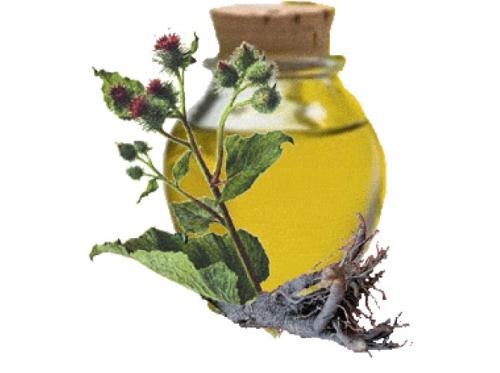 Теплое масло для волос. Топ-10 полезных растительных масел для волос