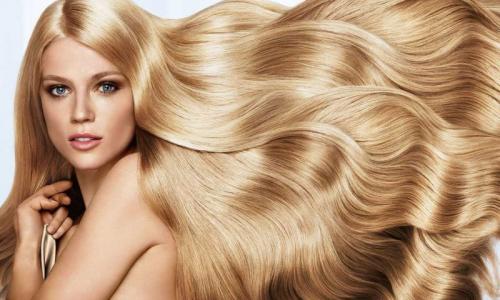 Лучшие бюджетные средства для волос. Топ лучших бюджетных средств для волос