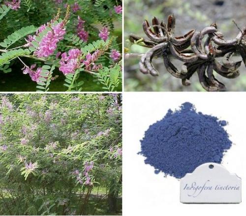 Хна или басма, что лучше. Что такое хна и басма?