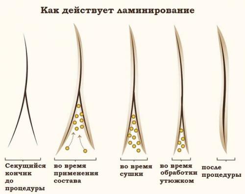 Тонкие волосы, как сделать густыми. Как помочь волосам стать густыми и блестящими? 03