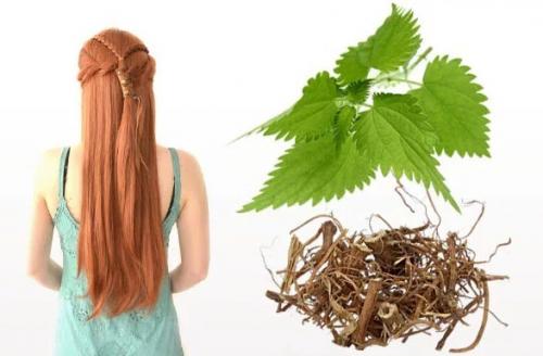 Волосы сухие на кончиках и жирные у корней, что делать. Как лечить локоны?