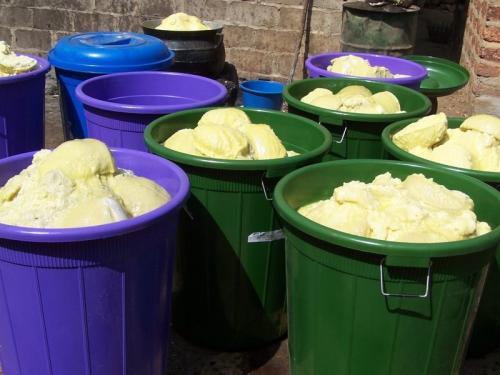 Масло ши. Как выбрать настоящее масло ши, а не бесполезную пустышку