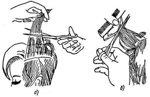 Стрижка кончиков волос виды. Виды филировки волос