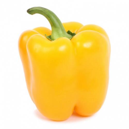 Процедура шайнинг от keune. Шайнинг в домашних условиях