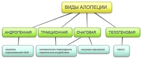 Витамины для роста волос на голове у женщин. Состав и воздействие на организм