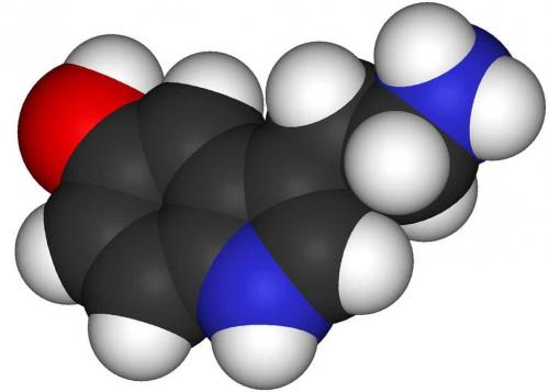На сколько отрастают волосы за 3 месяца. На сколько см вырастают волосы за месяц