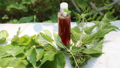 Сухие волосы быстро жирнеют. Быстро жирнеют волосы у корней: что делать в домашних условиях