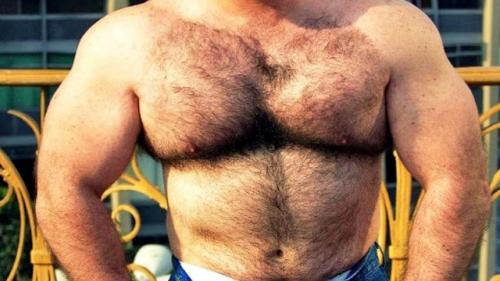 Что влияет на рост волос у мужчин. Как выглядит мужчина с высоким уровнем тестостерона?