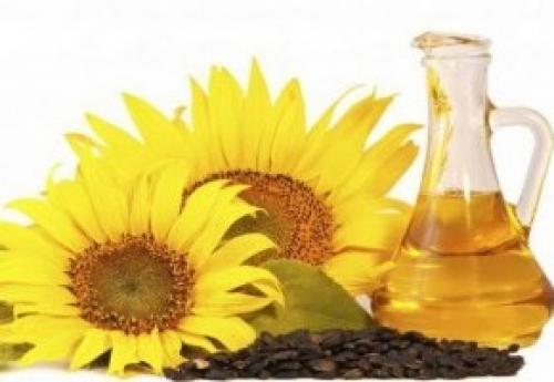 Масло для волос, какое лучше. Самые популярные масла