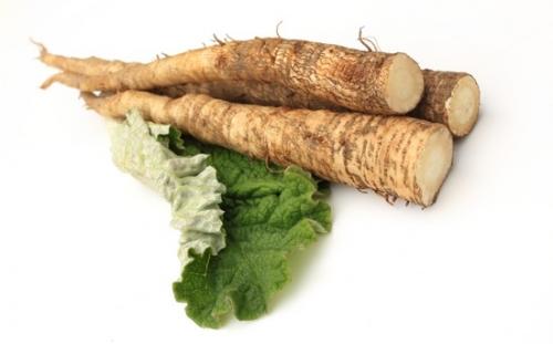 Репейное масло с красным перцем мирролла. Мой опыт использования масла репейного Mirrolla с красным перцем 05 Репейное масло с красным перцем мирролла. Мой опыт использования масла репейного Mirrolla с красным перцем 05