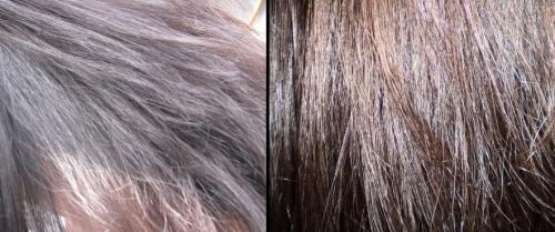 Жирные волосы, что делать быстро. Жирные волосы: полезные советы и рекомендации по уходу