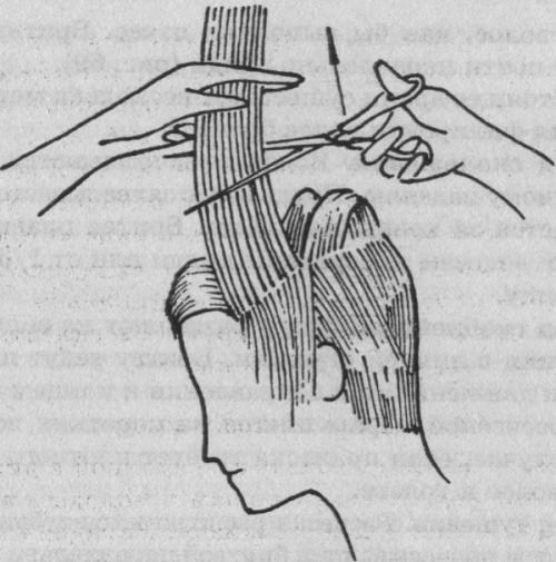 Что такое филировка волос и для чего она нужна. Зачем нужна филировка волос 02