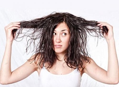 Жирные волосы, что делать быстро. Жирные волосы: полезные советы и рекомендации по уходу