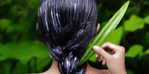 Чем восстановить волосы после осветления. Домашние способы восстановления волос после осветления 05 Чем восстановить волосы после осветления. Домашние способы восстановления волос после осветления 05