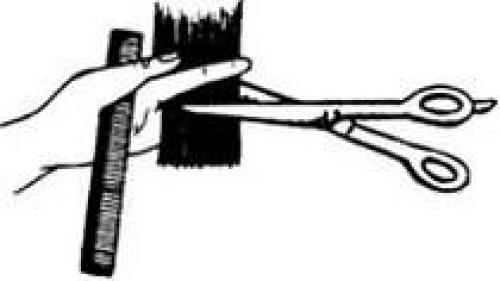 Восстановить волосы после филировки. Филировка кончиков волос: фото до и после процедуры, а также видео-уроки по этой теме