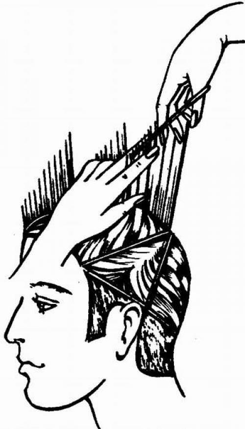 Филировка волос в домашних условиях. Филировка кончиков волос: фото до и после процедуры, а также видео-уроки по этой теме