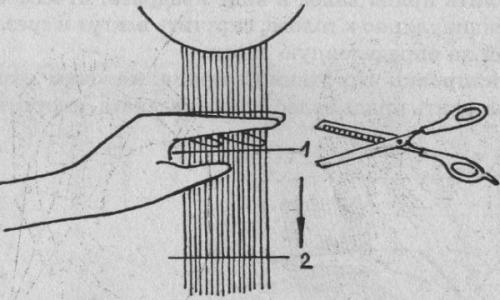 Для чего филируют волосы при стрижке. Филировка волос 01