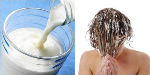 Как отрастить свой цвет волос незаметно. Как отрастить свой цвет волос: 8 приемов