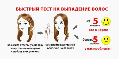 Густота волос от чего зависит. Что влияет на густоту волос 01 Густота волос от чего зависит. Что влияет на густоту волос 01