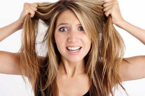 Как правильно мыть волосы жирные. Как правильно ухаживать за жирными волосами? 01 Как правильно мыть волосы жирные. Как правильно ухаживать за жирными волосами? 01