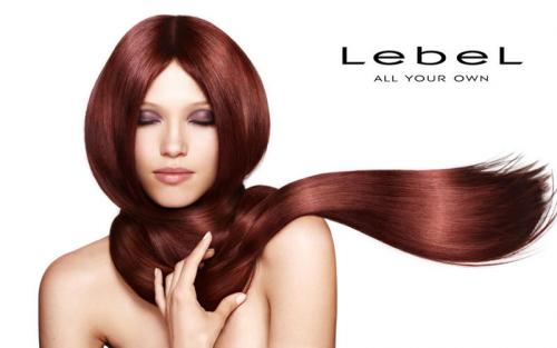 Счастье для волос эстель. Процедура Абсолютное счастье для волос от Lebel