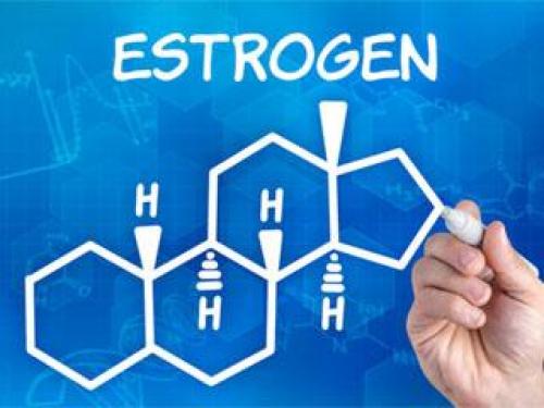 Рост волос на голове. Строение волоса 02