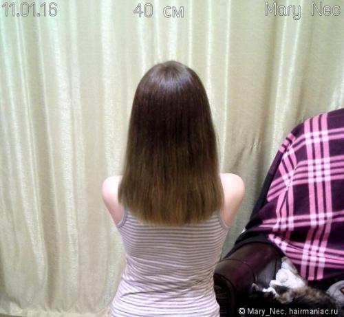 Как сделать волосы толще форум. Как сделать волосы гуще и толще