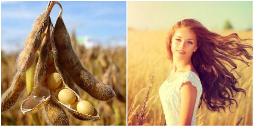 Hydrolyzed soy protein в косметике. Гидролизованные протеины сои и чем они полезны для твоих волос