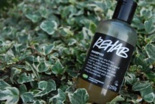 Как мыть голову реже жирные волосы. Чем мыть жирные волосы