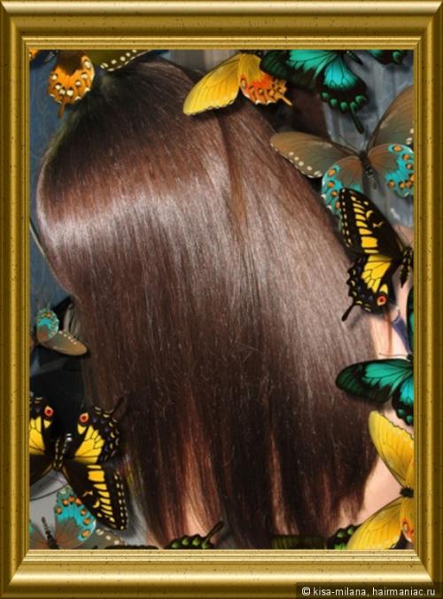 Несмываемое масло для волос, какое лучше. Мое любимое бюджетное несмываемое масло