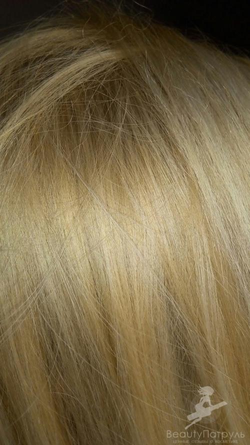 Matrix Oil Wonders volume rose. Мой отзыв о кондиционере для волос Matrix Oil Wonders volume rose 11