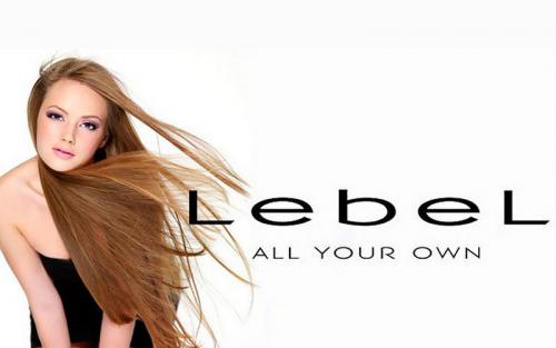 Счастье для волос эстель. Процедура Абсолютное Счастье для волос от Lebel