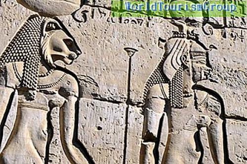 Дреды 2019. Откуда берутся дреды? -   Европа - 2019