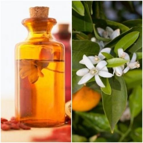 Лучшие масла для сухих волос. Масло для сухих и поврежденных волос: выбираем эффективное