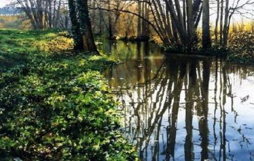 Рапунцель в реальной жизни. Как бы выглядели диснеевские принцессы в реальной жизни