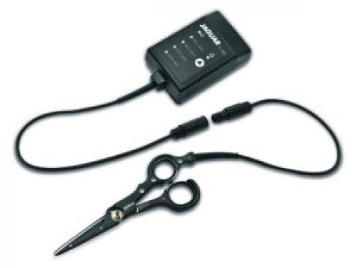 Стрижка горячими ножницами миф. Стрижка волос горячими ножницами: плюсы, минусы и мифы