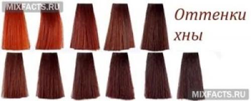 Хна для волос для русых. Особенности использования 05