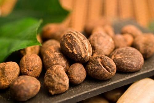 Масло ши. Полезные свойства масла ши