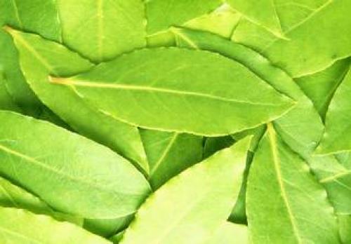 Как сделать волосы гуще маски. Как сделать волосы густыми без дорогих процедур?