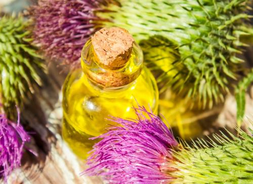 Масло для кончиков волос, как использовать. Репейное масло для кончиков волос: секущихся и сухих