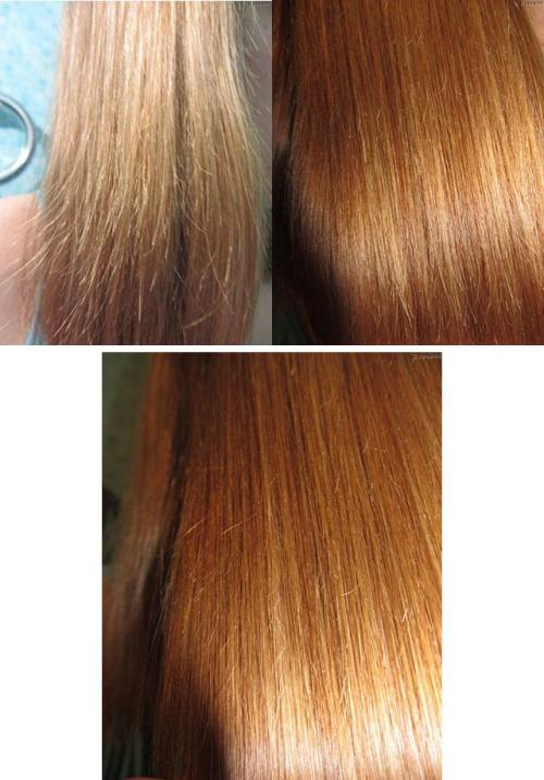 Какое масло для кончиков волос лучше. Какие масла подходят для сухих волос: 02